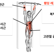 행잉 레그레이즈 뜻과 운동 근육