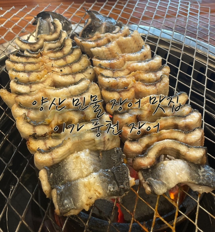 양산 민물 장어 맛집 : 이가 풍천 민물 장어 🐉 : 네이버 블로그