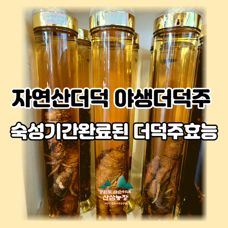 자연산더덕 야생더덕주 숙성기간완료된 더덕주효능 : 네이버 블로그