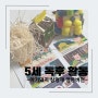 [5세 독후활동] 3 little pigs