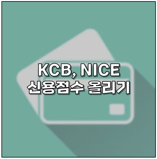 신용등급 확인 및 신용점수 올리기 후기(KCB, NICE 모두) : 네이버 블로그