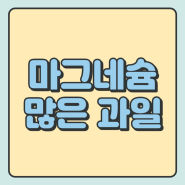 마그네슘 많은 과일