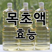 목초액 효능 참나무 무좀