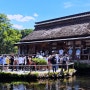 [도쿄여행] 후지산 투어 (3)-오시노핫카이 만년설 연못마을 약수 당고 쿠사모찌