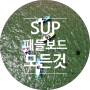 SUP 패들 보드의 모든 것