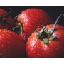 토마토 섭취방법 및 효능 비밀 세계를 파헤치다