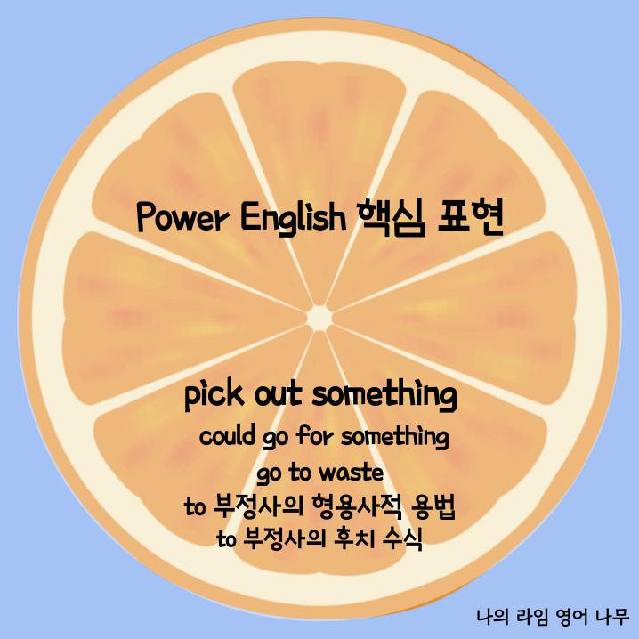 to 부정사의 형용사적 용법/ to 부정사 + 전치사/ could go for sth/ go to waste/ pick out ...