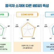 배터리 저장용량을 높이는 실리콘음극재