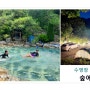 수영장 있는 캠핑장 '숲에안기다' 여름캠핑 신나요!