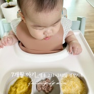 [7개월아기 성장과 발달]중기이유식, 뒤집기 되집기 마스터 프로뒹굴러