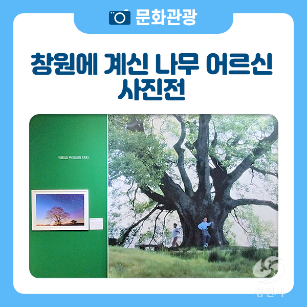 ‘창원에 계신 나무 어르신’ 사진전 - 창원역사민속관