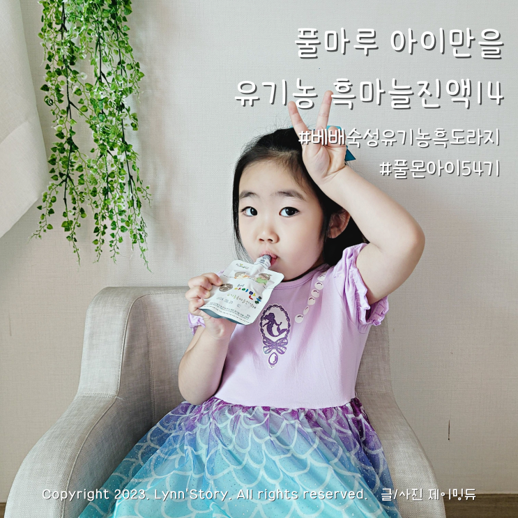 사계절 뗄 수 없는 풀몬아이 54기 함께 : 네이버 블로그