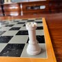2인보드게임 체스 규칙 두는법 룰 확실하게