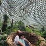 거제식물원 정글돔, 다양한 모양과 높이 미끄럼틀 정글타워