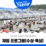 🌊제16회 정남진 장흥물축제🌊 체험 프로그램(수상·육상)🔍