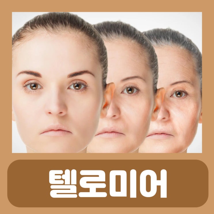 노화방지 음식 텔로미어 노화 늦추기 : 네이버 블로그