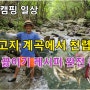 600고지 계곡에서 천렵하기/어탕 끓이기 레시피 완전 공개/장박캠핑 일상/월성자연캠핑야영장