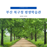 부산 북구 평생학습관 [나도 스마트폰 사진작가] 수강생 온라인 사진전