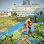 대기업 회사, 공장, 산업단지, 도로 화단 예초 및 벌목 방문견적 합리적 비용 조경업체 '잘판다'