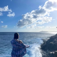 [하와이 신혼여행] Day.9 - 오아후 헬기투어/호놀룰루 숨은 명소