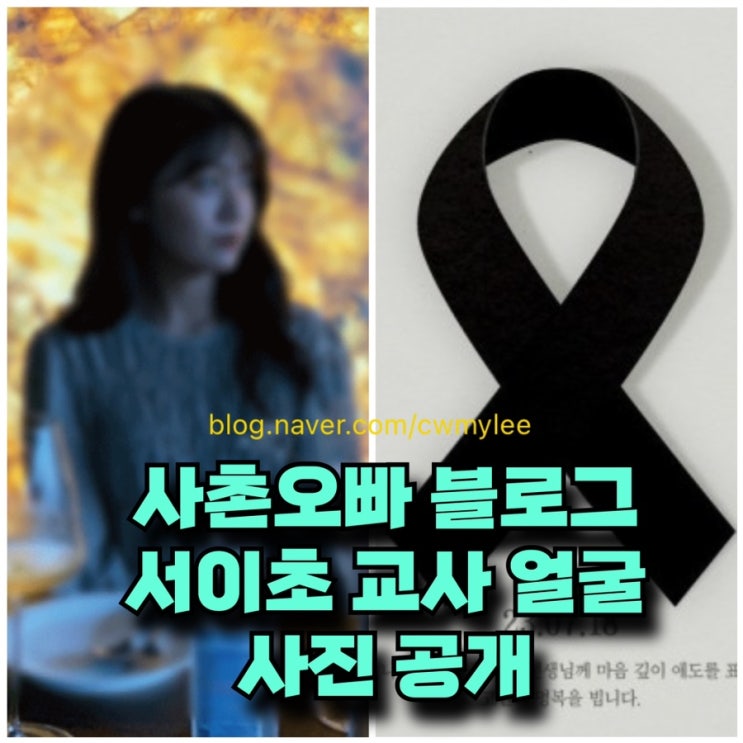 서이초등학교 사촌오빠 블로그 서이초 교사 얼굴 사진 공개 자살 서초 그랑자이 사건 3선 국회의원 학부모 23세 극단 선택