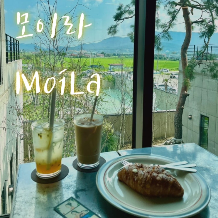 전주 평화동 대형 카페 “모이라”