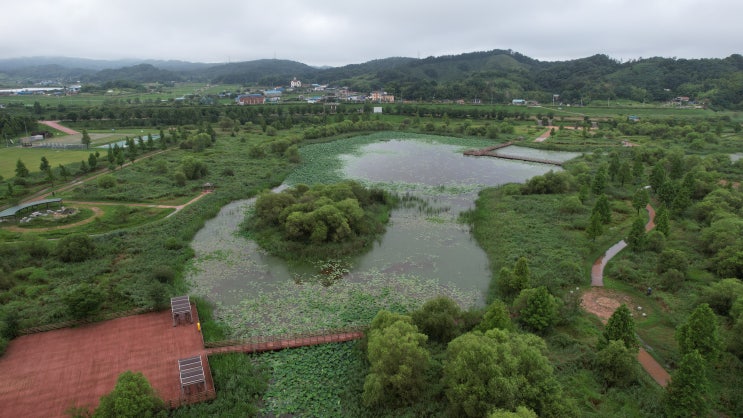 전북 [익산 가볼만한곳] 용안생태습지공원 드론촬영