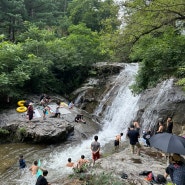 7월말 8월초 두물머리 연꽃 개화 현황 남양주 묘적사 계곡 물놀이