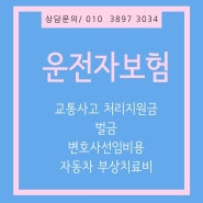 운전자 라이더보험 담보인 교통사고처리지원금, 벌금, 변호사선임비용 가입으로 경제적손실에 대비하기