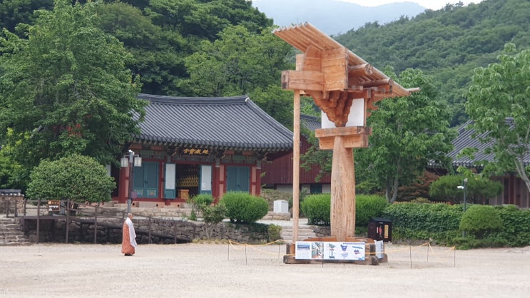 [선운사] 걷기 편한 숲길이 맞이해주는 6세기 백제시대에 창건된 유서 깊은 사찰, 고창 선운사 (23.06.11) : 네이버 블로그