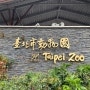 🇹🇼 타이베이 - 무진장 크고 넓은 '타이베이 시립동물원'