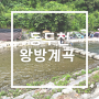 왕방계곡/ 서울근교 아이들 놀기좋은계곡(주차장,자리정보)