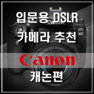 입문용 DSLR 카메라 추천 - 캐논편