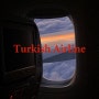 터키 항공 후기 (다섯시간 연착,체크인 주의할 점, 기내식, 이스탄불 공항 와이파이)