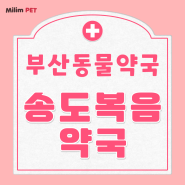 [미림펫]부산 동물약국 ▷ 송도복음약국