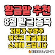 8월 국내 주식 발굴 종목 소개