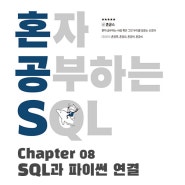 [SQL] SQL과 파이썬 연결, 데이터 입력 및 조회