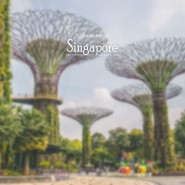 싱가포르 여행 ❙ 21시간 레이오버로 싱가폴 여행하기?! (맥스웰 푸드 센터 / 마리나 바라지 / 가든스 바이 더 베이 슈퍼트리 / 마리나 베이 샌즈 / 보트키 / 무지개경찰서)