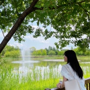 대전 가볼만한곳 : 대전 한밭수목원 산책하기 🌤️