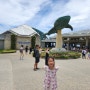 [아이랑 오키나와 여행] 오키나와에서 빼놓을 수 없는 츄라우미 해양박공원 수족관