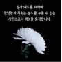 생명 경시의 사회의 종식을 기다리며