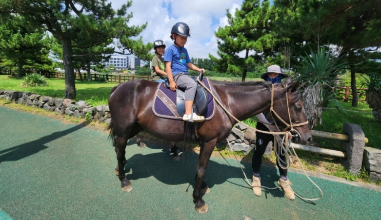 [제주 28일차] 졸띠해변승마, 섭지코지, 표선해수욕장