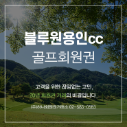 기명8인까지 가능한 [블루원용인cc]골프회원권 법인회원권으로 추천드립니다!