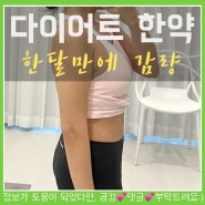 청담 다이어트 한의원 캡슐 한달만에 체지방 감량후기