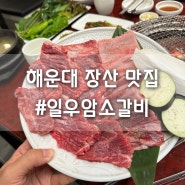 해운대 장산맛집 일우암소갈비 1만원대로 한우 즐기기