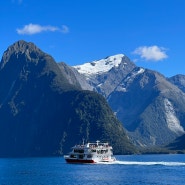 뉴질랜드 남섬 신혼여행 #5 밀포드사운드 크루즈투어 - 와나카로 이동