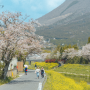 후쿠오카 가족여행 준비 시작! 4월의 유후인