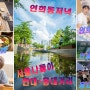 연희동저녁 식사 연희보리밥 & 연세대학교 구경 ~ 홍대거리까지 서울데이트
