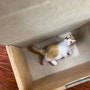 나만의 고양이피규어 마이크로캣 도자기 인형