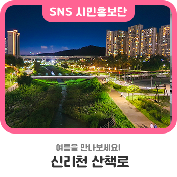 신리천 산책로를 따라 여름을 즐겨보세요!